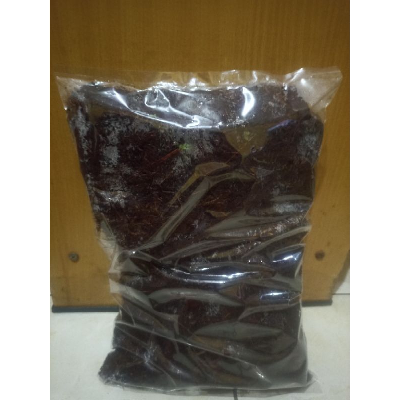 Moss Hitam Akar Kadaka Kemasan Plastik Kecil