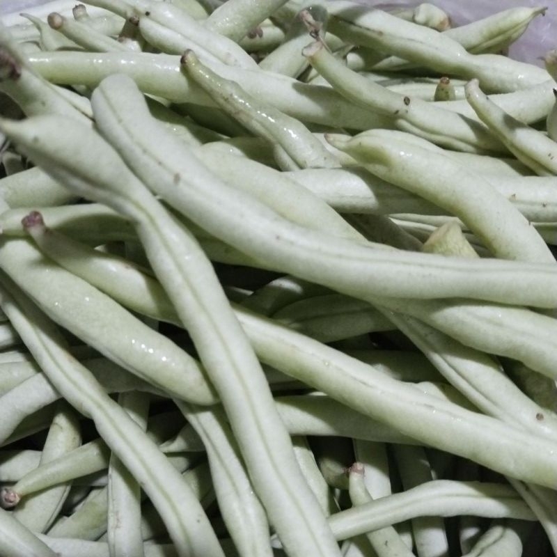 

sayur buncis fresh 100 gr-250 gr.