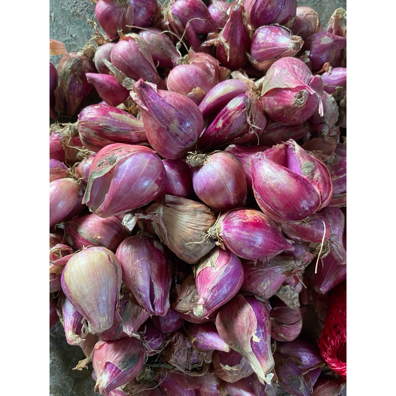 

BAWANG MERAH BESAR SUPER