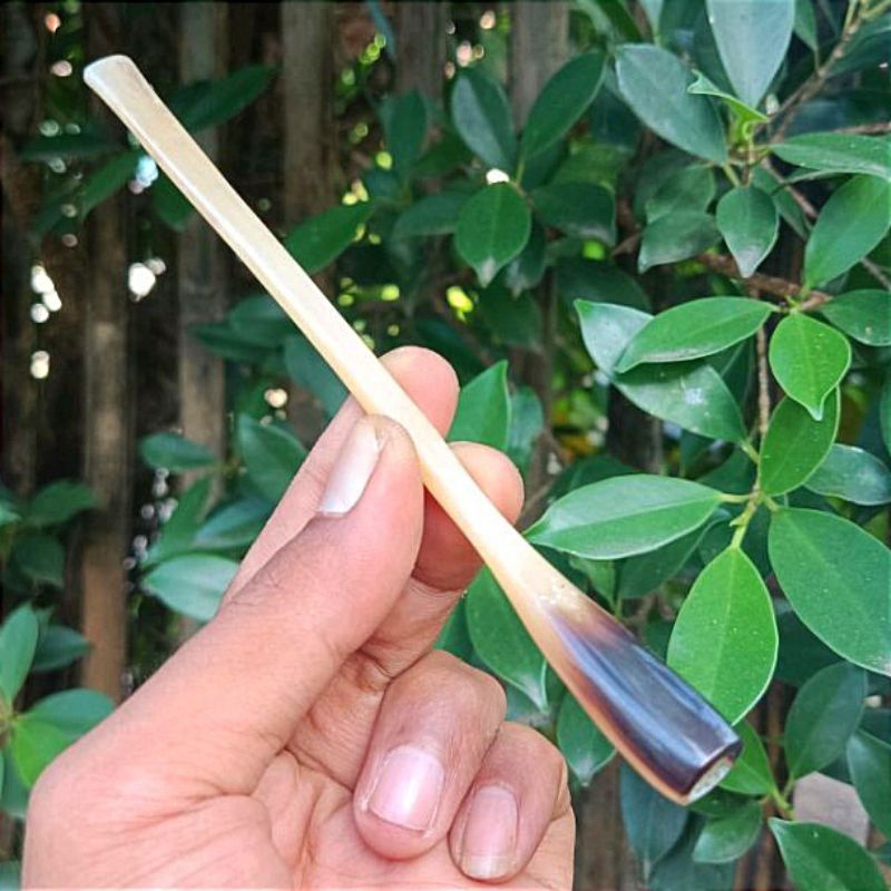 Once pipa tulang kalong asli 15cm
