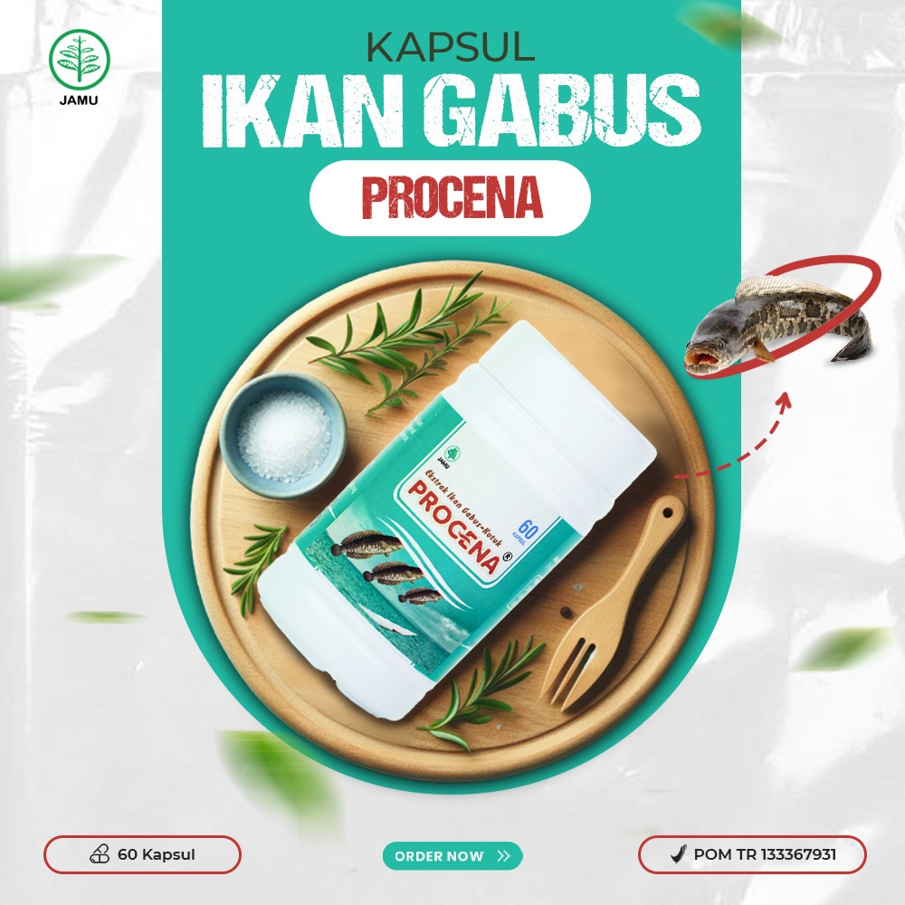 Procena Kapsul Ikan Gabus 60 Kapsul - Obat Luka & Pemulihan Pasca Operasi BPOM
