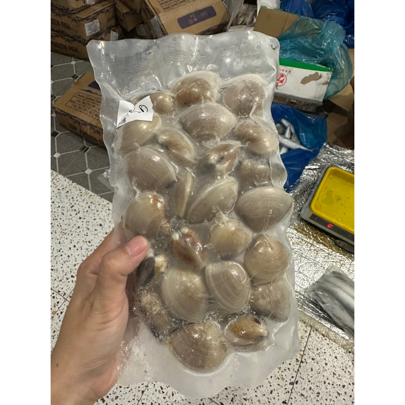 

Kerang Tahu Beku berat 500 Gram