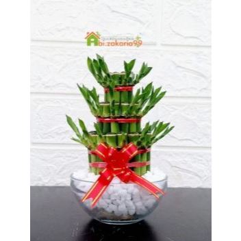 Bambu hoki Imlek/hampers/hiasan meja/pajangan meja