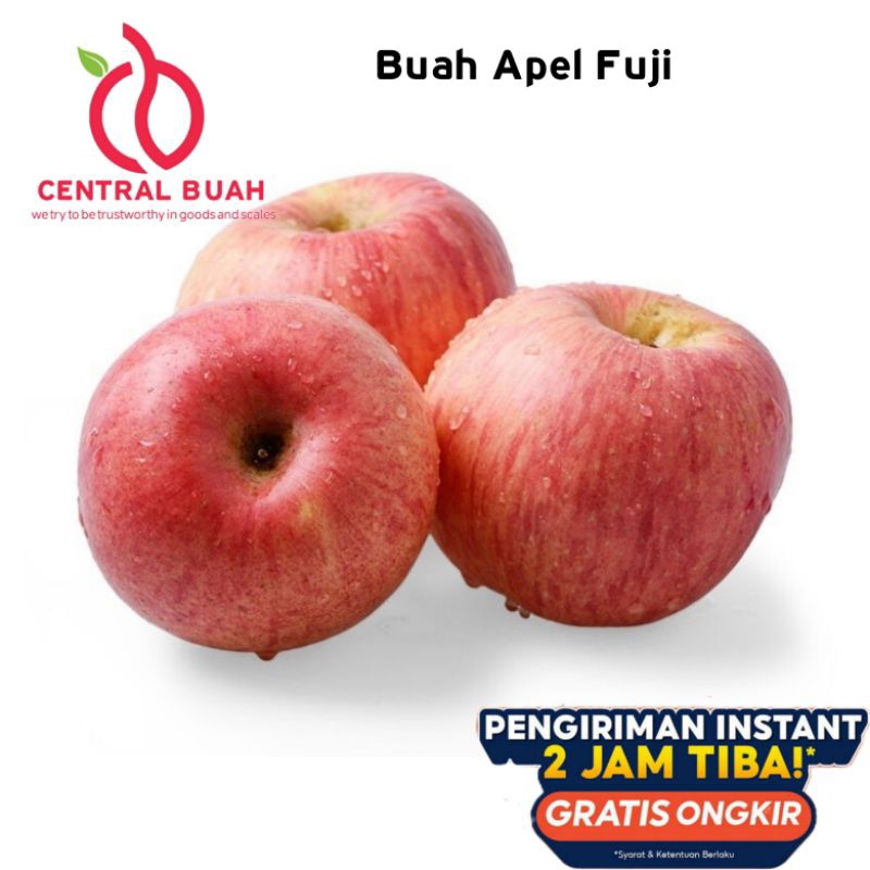 

Apel fuji 1 kg | Buah apel fuji merah 1 Kg | apel fuji manis garing