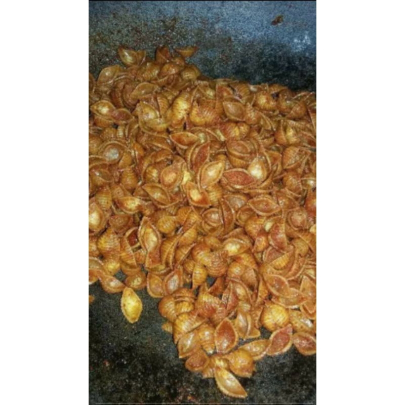 

makroni kerang