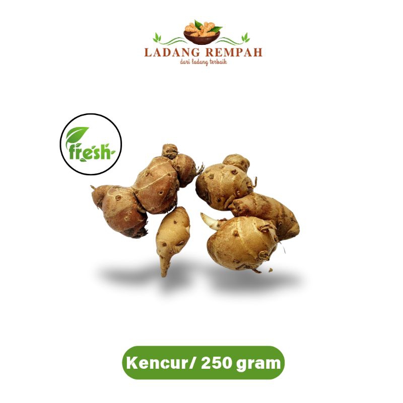 

Kencur Lokal Original 100/250 gram