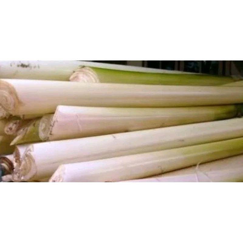 

Gedebong Pisang/Batang Pisang Segar Per 1Kg #pisang #Herbal #Berkhasiat