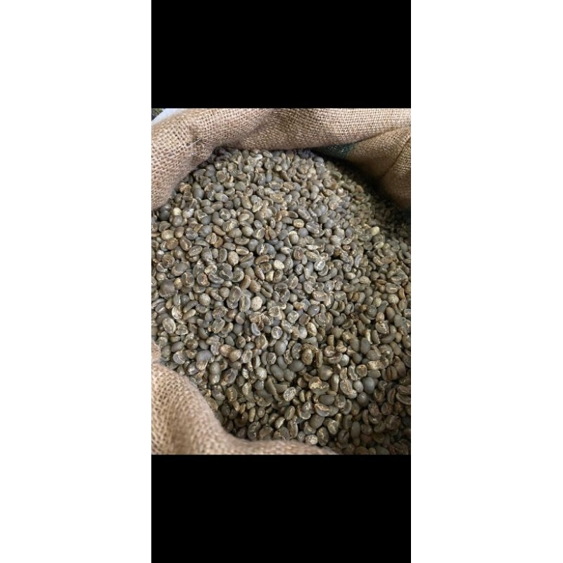 

GREEN BEAN ARABICA GAYO GRADE 1 UKURAN 500 GRAM