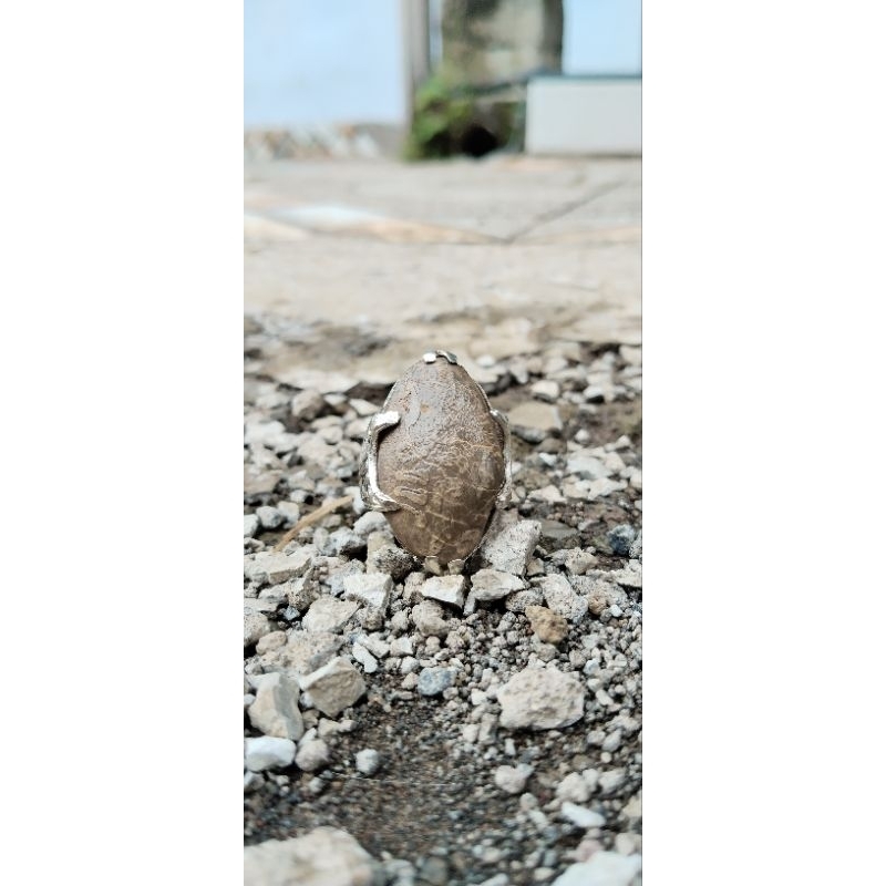 natural kijing bungkem