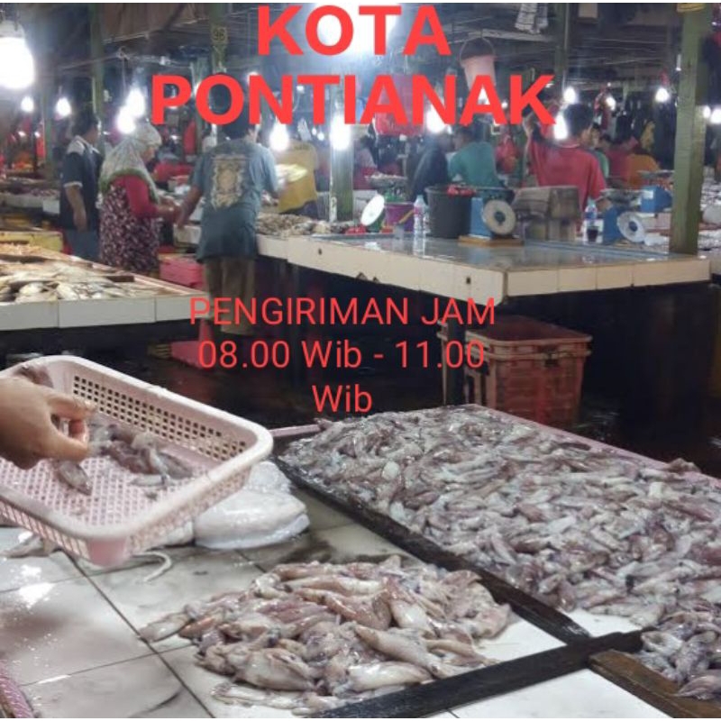 

Ikan segar pasar Flamboyan/ ikan hidup pasar Flamboyan/ ikan pasar Flamboyan segar