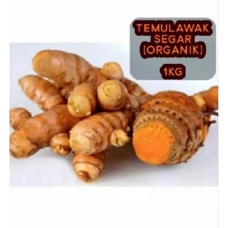 

TEMULAWAK CURCUMA KONENG GEDE SEGAR FRESH ORGANIC 500gram