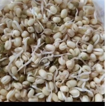 

kecambah/250gram.Rp.9.000