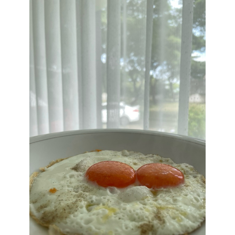 

Telur omega