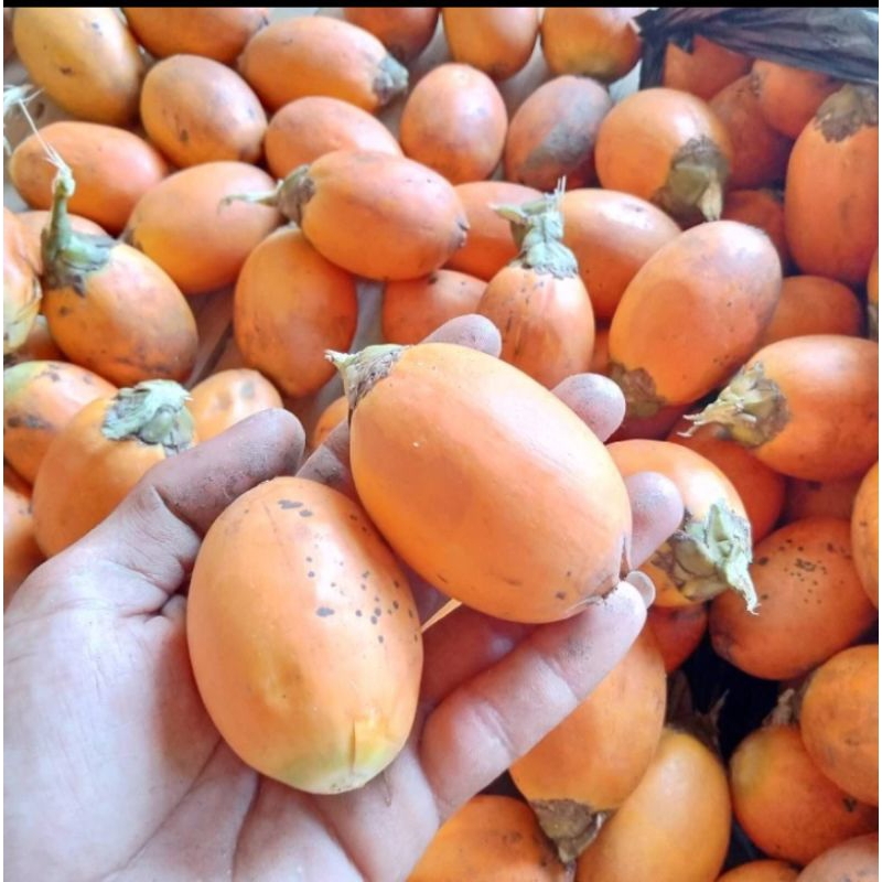 

BUAH PINANG TUA HERBAL 1KG