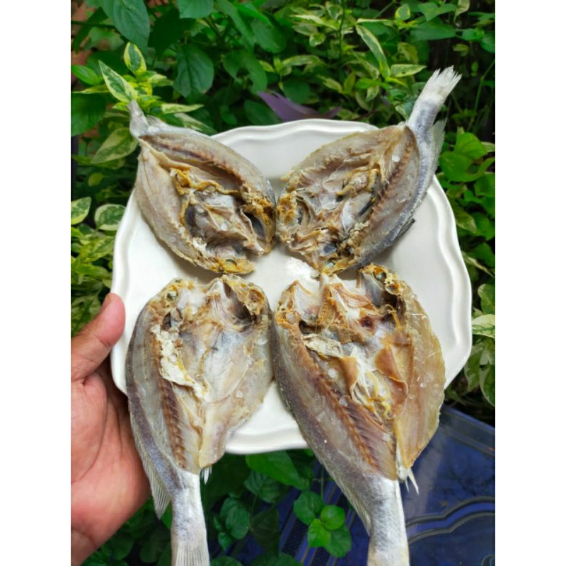 

Ikan Asin Samge/Ikan Asin Kepala Batu/ Ikan Asin Gulama Belah 100 gram