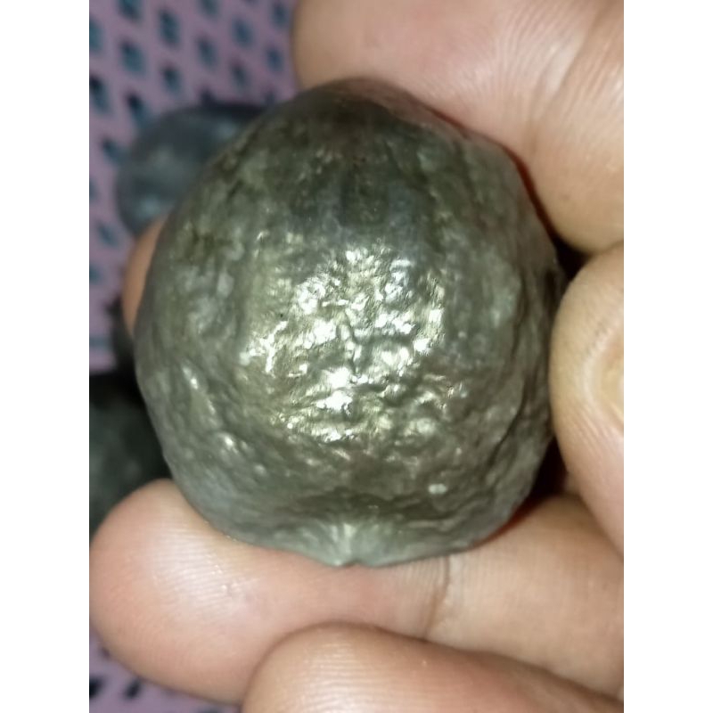 Muncang adu Si Roket