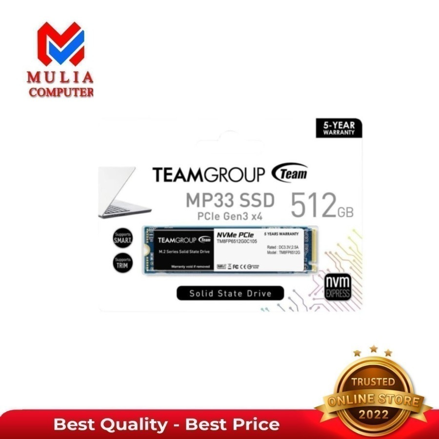 NVME TEAMGROUP 512GB MP33 512GB