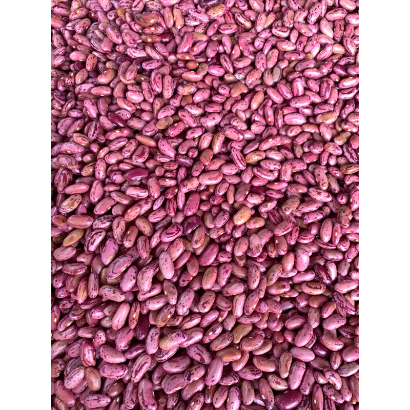 

Kacang merah SUPER 250 gr