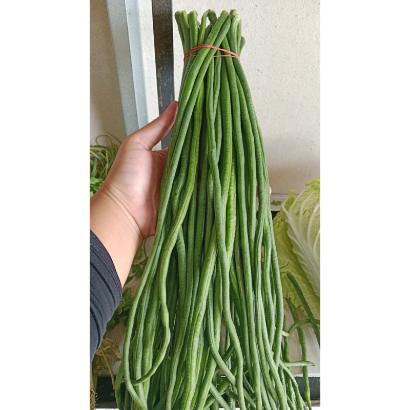 

Kacang Panjang - Sabuga Market