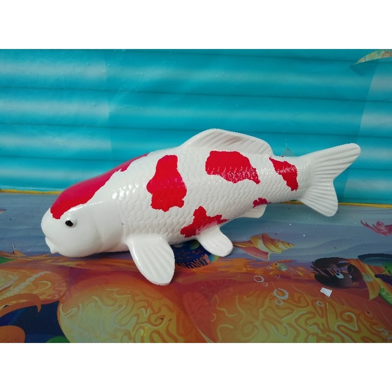 miniatur ikan koi ukuran 1 meter