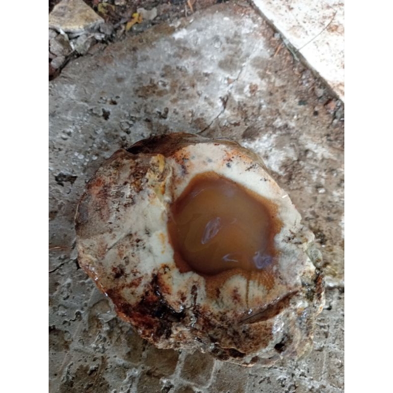 

satu bongakh kuning madu