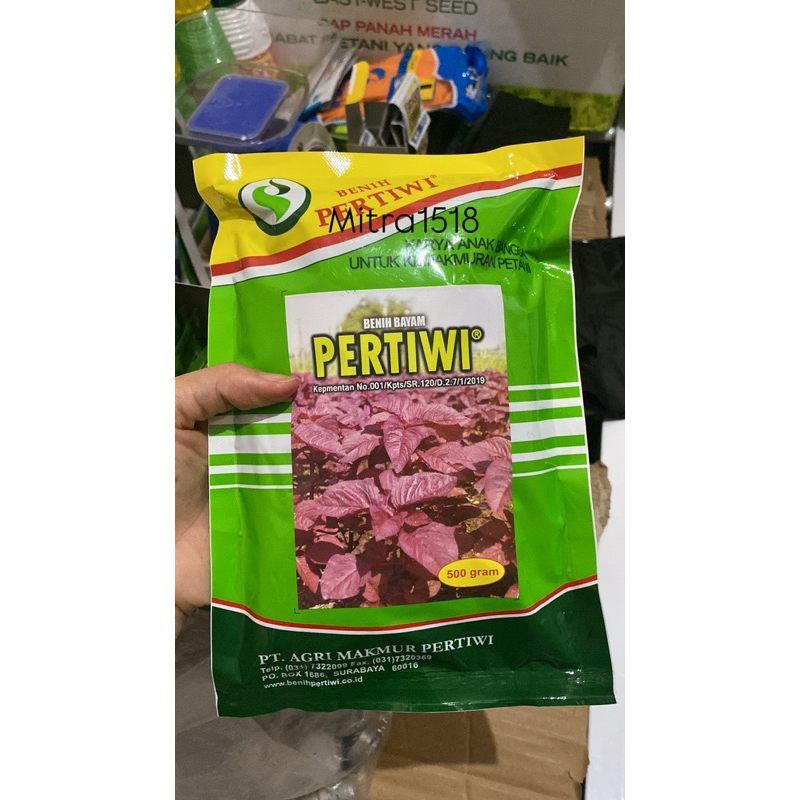 Benih Bayam Merah 500gram Benih bayam merah PERTIWI 500 gram bibit bayam merah berkualitas dari beni