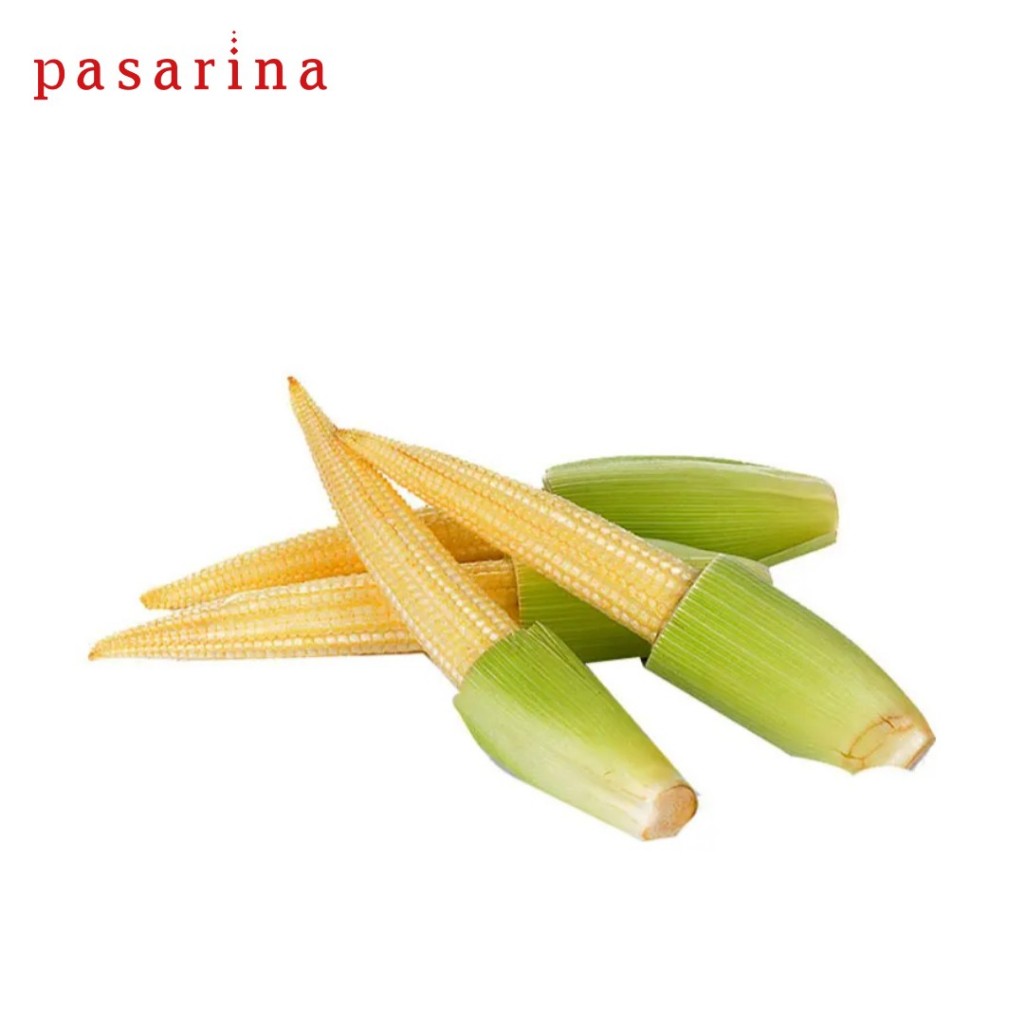 

Jagung Baby Jagung Kecil Organic Pickle Corn per 100 gram
