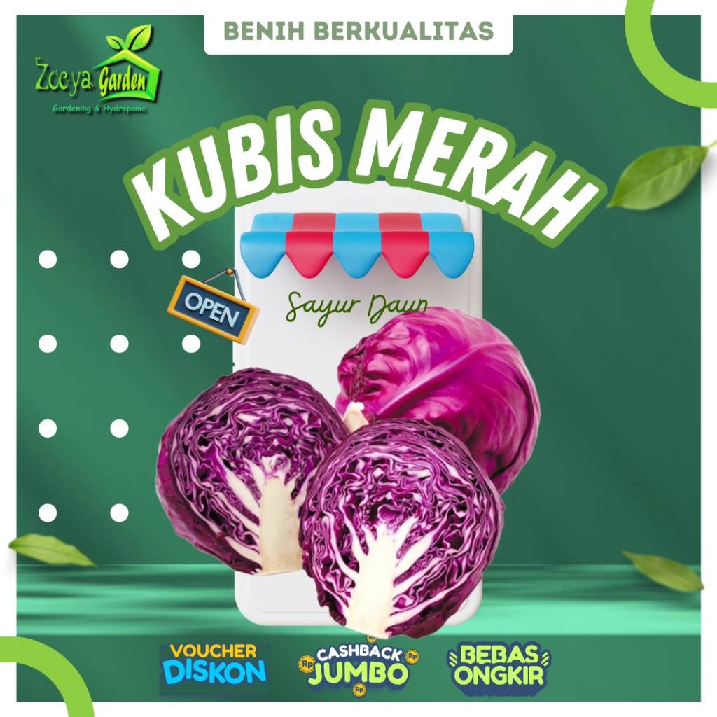Biji / Benih / Bibit / Seed Kol Merah / Kubis Merah F1