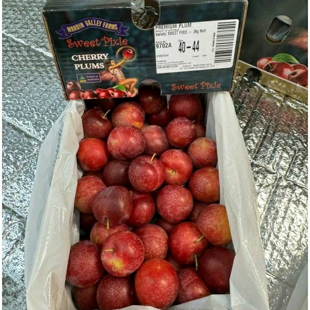 

cherry plums sweet pixie premium plums box 2 kg