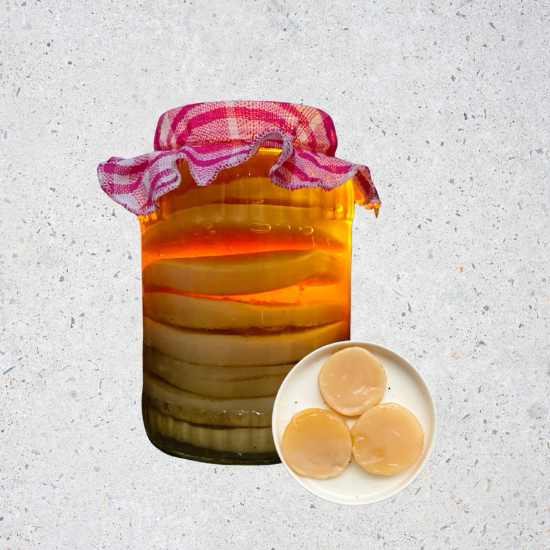 

Biang kombucha (SCOBY & Cuka starter) kuat