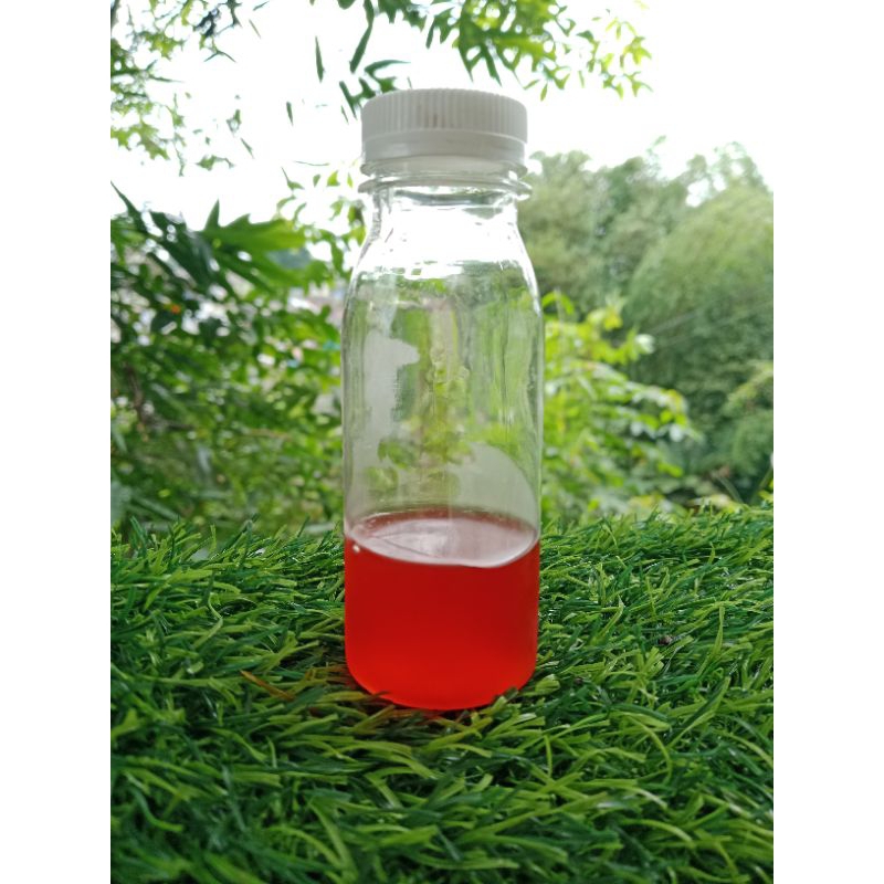 

madu klanceng merah