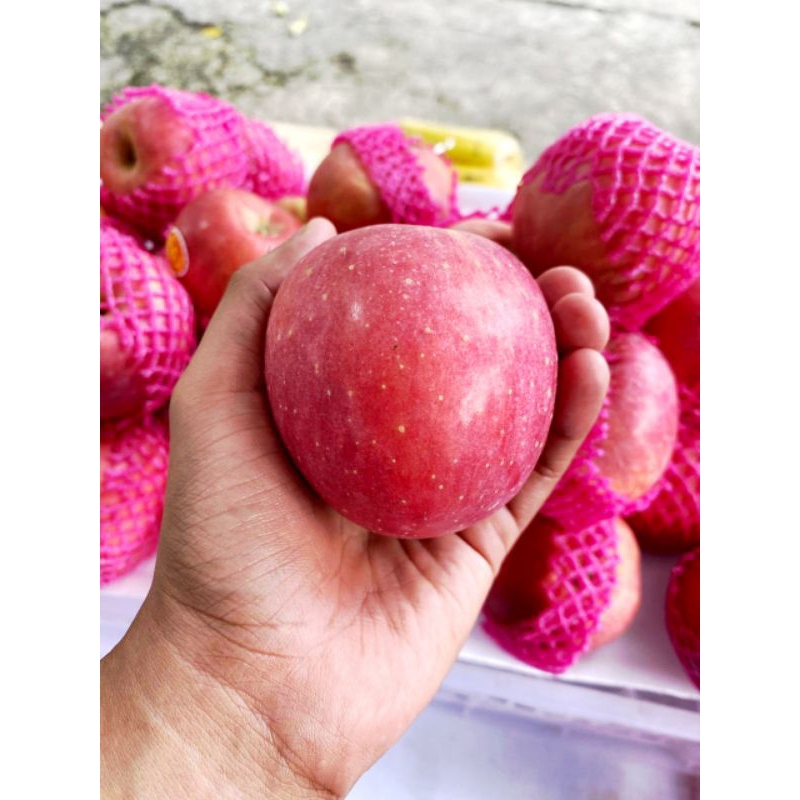 

Buah Apel Fuji Manis (Apple Fruits)