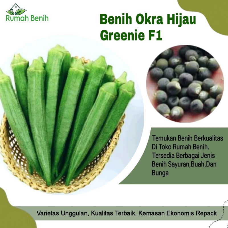 Benih Okra Hijau Greenie F1 / Bibit Benih Okra Hijau / Biji Benih Okra Hijau / Benih Sayuran Okra / 