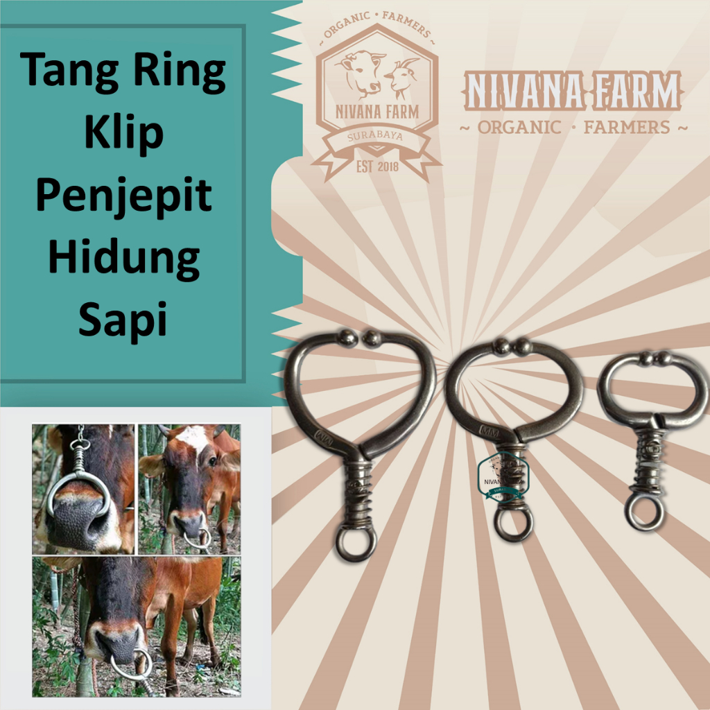 CIncin Sapi Tang Ring Klip Penjepit Hidung Sapi