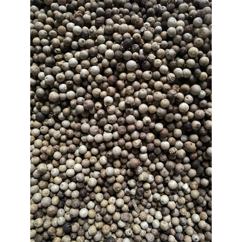 

Merica / Lada putih 1 Kg