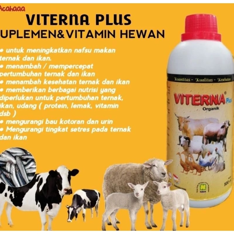 Produk Viterna Plus VITERNA Plus Vitamin Ternak Organik merupakan suplemen pakan ternak
