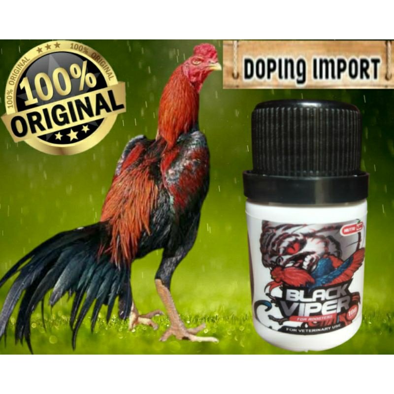 BLACK VIPER Pil Vitamin Doping Ayam Aduan Obat Terbaik Juara