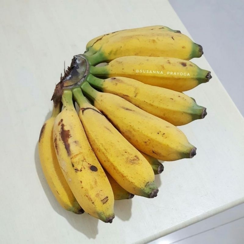 

PISANG RAJA BULU 1 SISIR