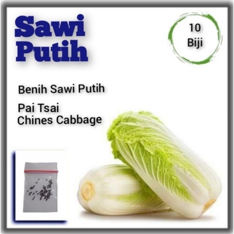 Benih Sawi Putih Autumn Sun F1 Bibit Tanaman Sayuran Dataran Rendah