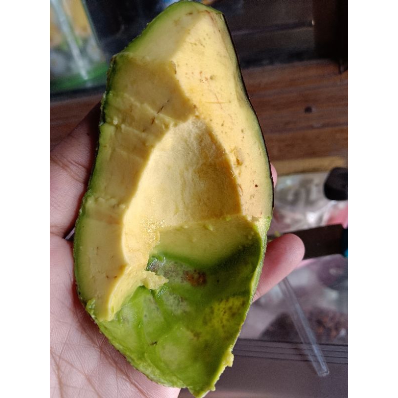 

Alpukat lokal isi 3-5