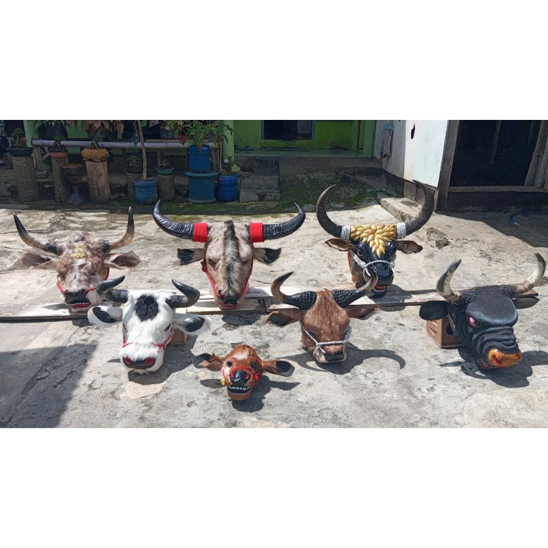 Bantengan berot Bantengan mangapan satu kil setengah dua kil setengah tanduk nyundang