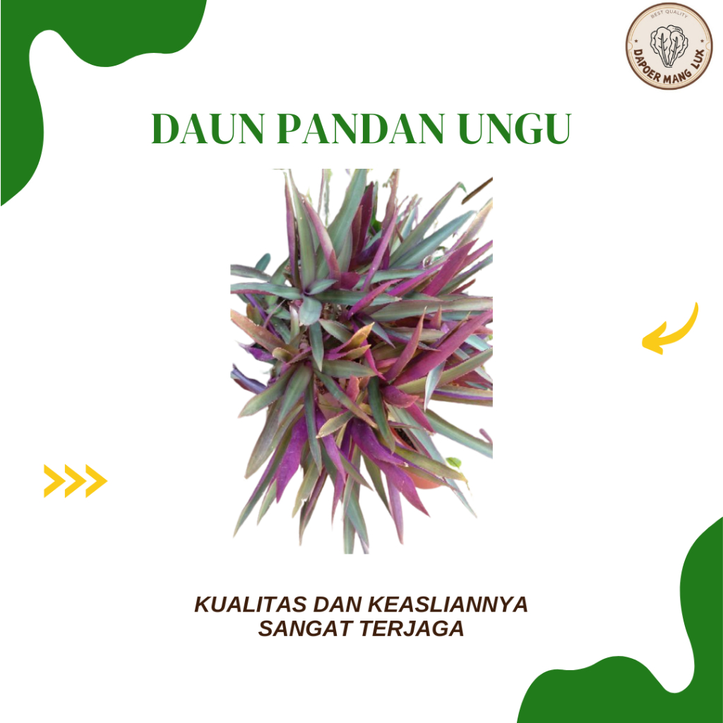 

EKSTRAK PANDAN UNGU BEST SELLER