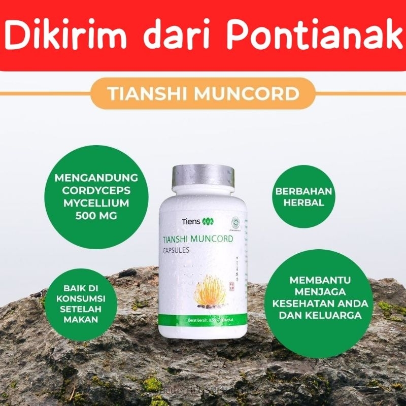 Muncord Cordyceps Untuk ISK Fungsi Ginjal Jantung Paru Paru Hati Limpa TCM Herbal Cina Tiongkok Fito