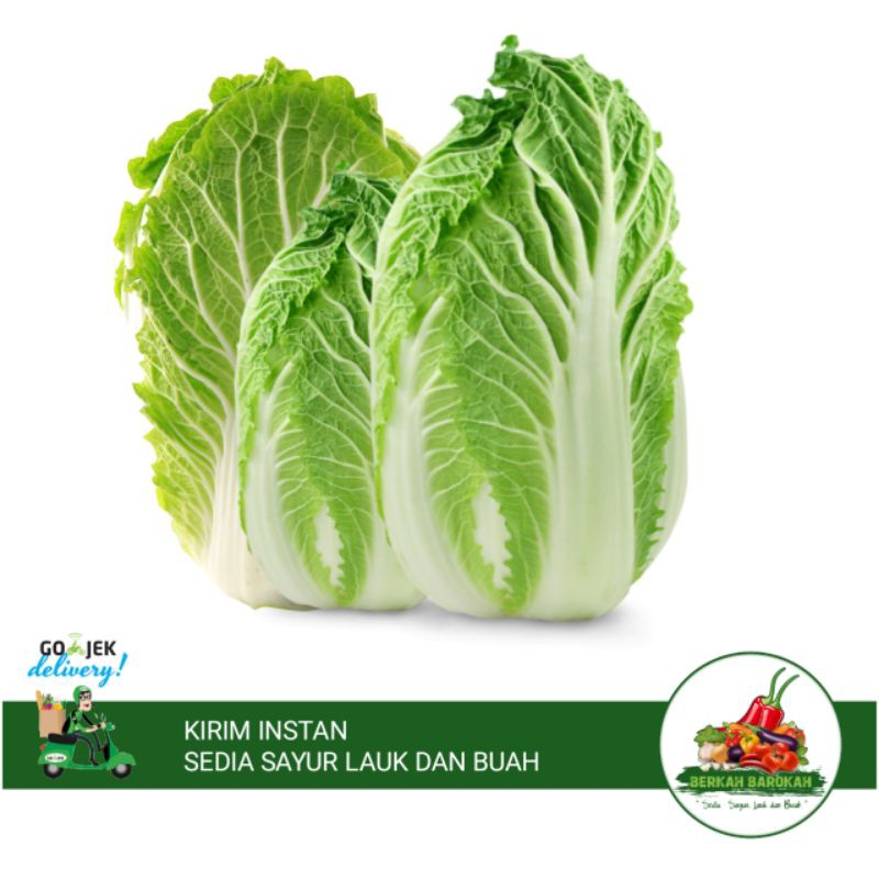 

SAWI PUTIH FRESH 1KG