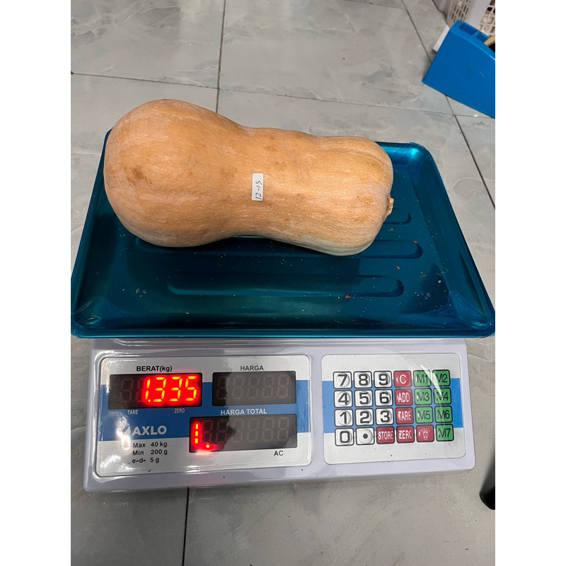 

LABU MADU / BUTTERNUT PUMKIN / TERMURAH