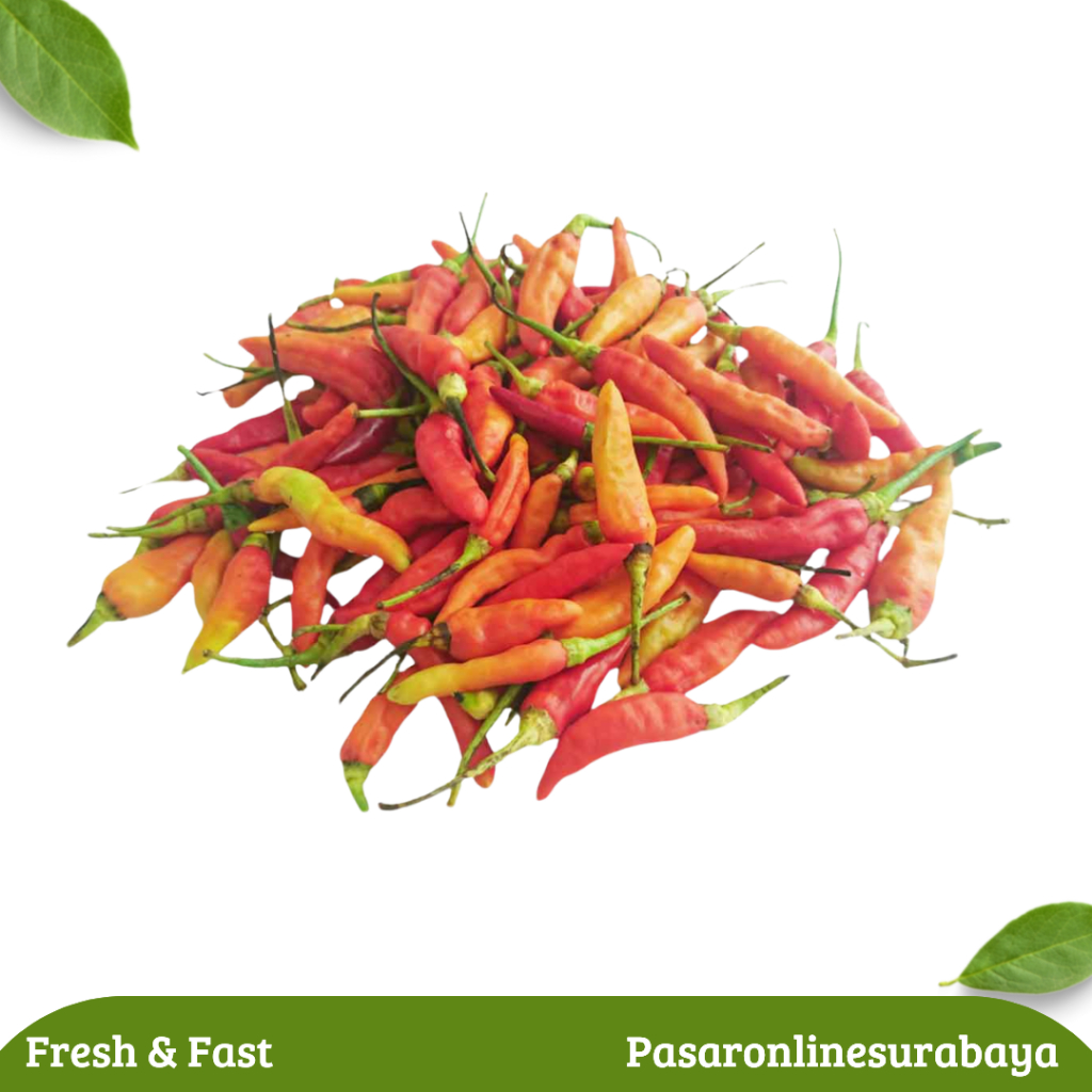 

Cabe Rawit kecil 125 gram 250 Gram 500 gram 1 kg Cabai Rawit caberawit Cabairawit Cabai kecil Segar