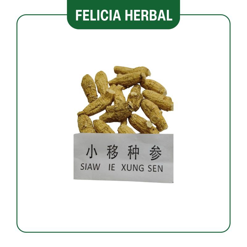 

Ginseng Amerika (Kecil) Utuh/小移种参条