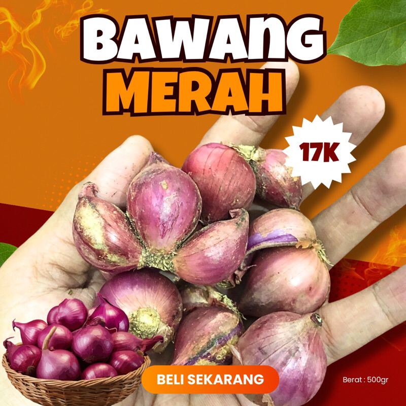 

Bawang Merah Fresh 500gr Ukuran Tanggung Besar Kering | Murah