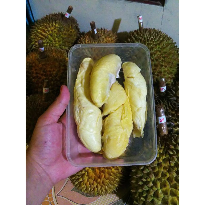 

Durian kupas lokal premium Garansi manis enak kedai Markibung