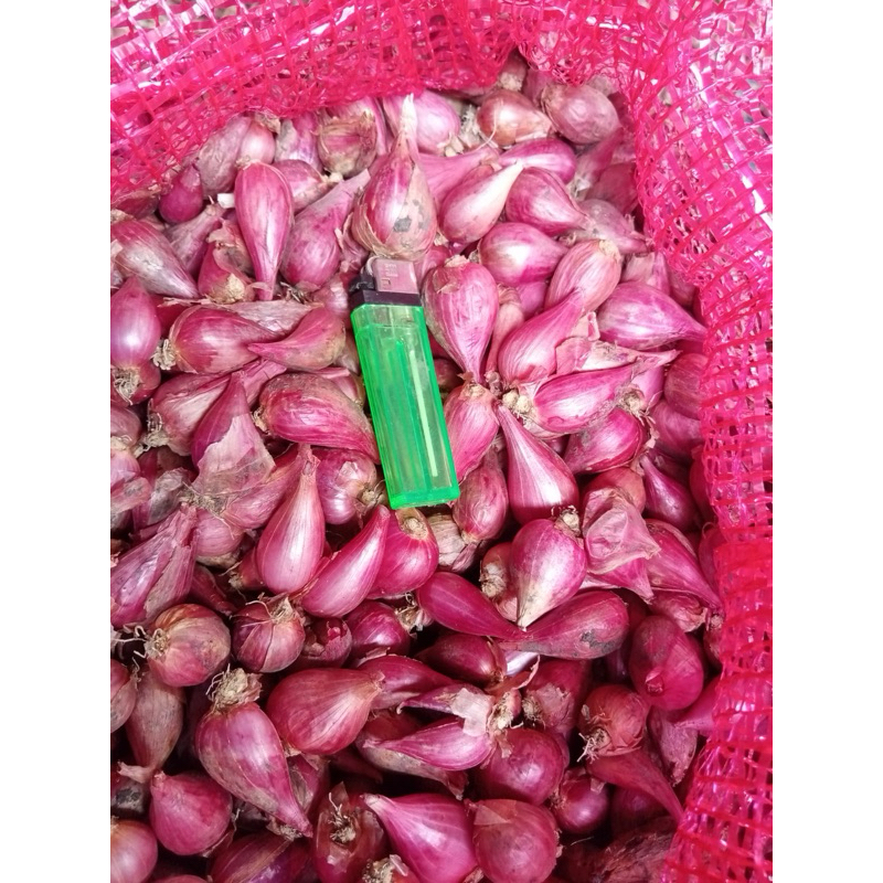 

Bawang Merah Kering Super Fresh 1kg